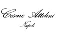 CESARE ATTOLINI