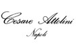 CESARE ATTOLINI
