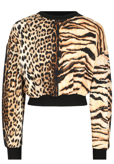 Свитшот ROBERTO CAVALLI