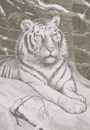 Плед STEFANO RICCI