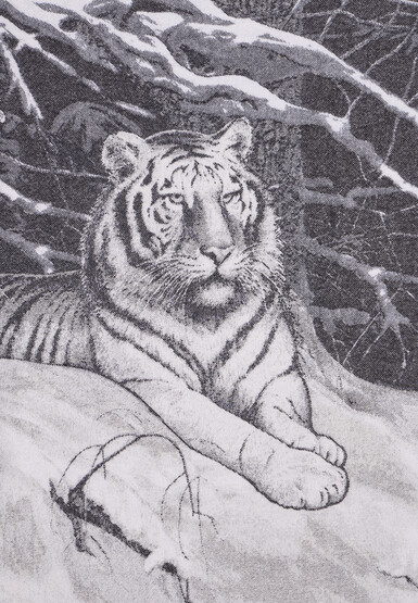 Плед STEFANO RICCI
