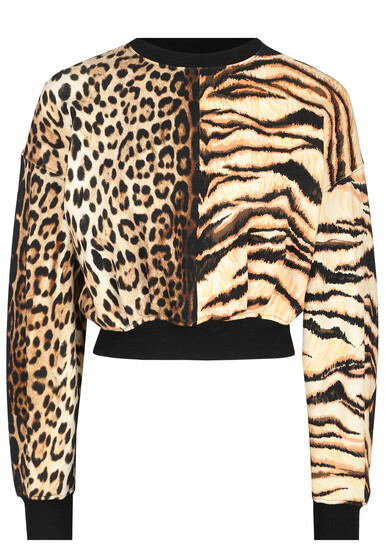 Свитшот ROBERTO CAVALLI