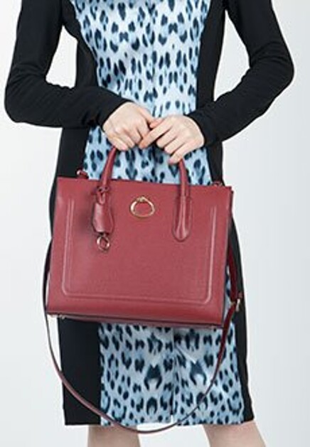 Сумка CLASS CAVALLI