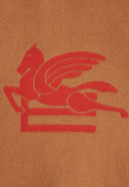 Пончо ETRO 179488