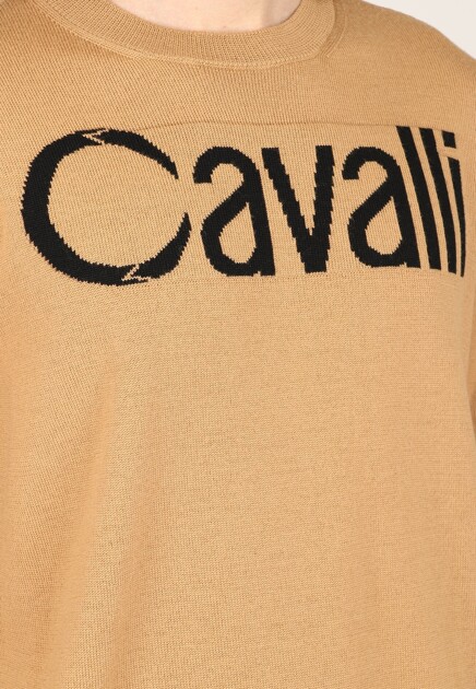 Джемпер ROBERTO CAVALLI 136599