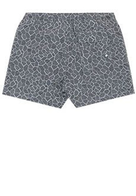Плавки STEFANO RICCI