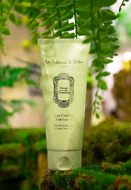 Лосьон для тела Ginger Green Tea Fragrance 200 мл LA SULTANE DE SABA - ФРАНЦИЯ