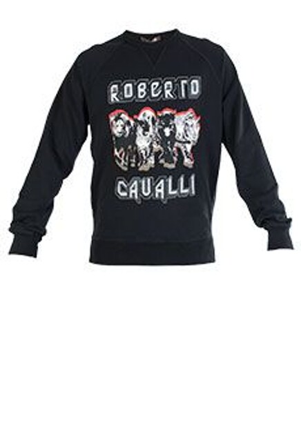 Свитшот ROBERTO CAVALLI