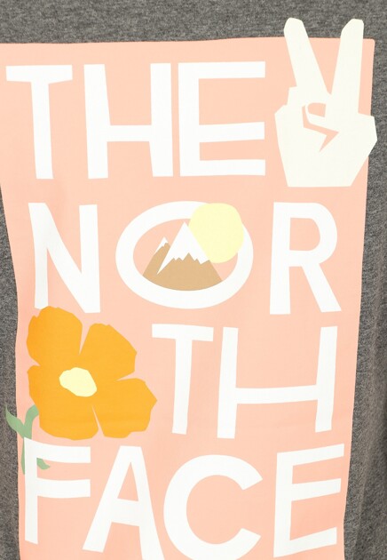 Футболка THE NORTH FACE 130638