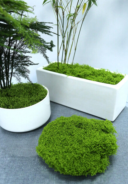 Сублимированный мох OKO - КИТАЙ