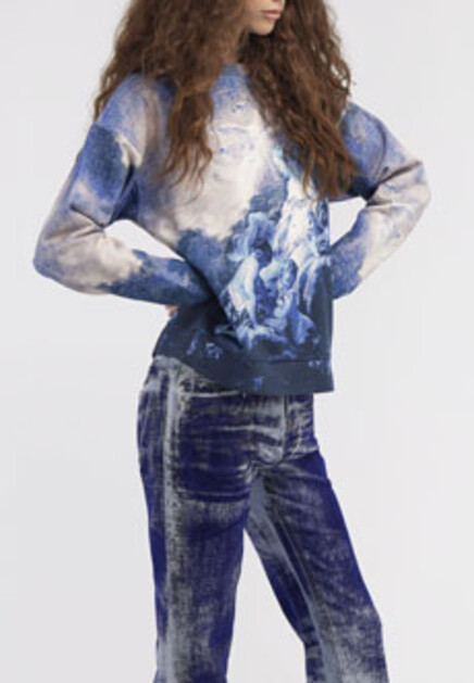 Свитшот с принтом Denim Wild Leda ROBERTO CAVALLI