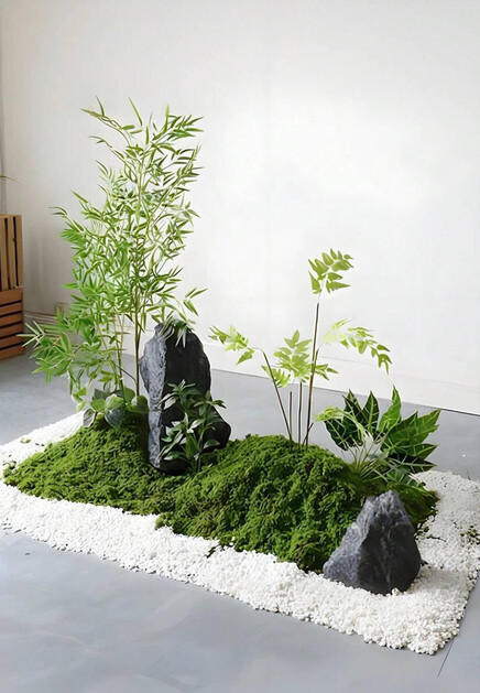 Сублимированный мох OKO 